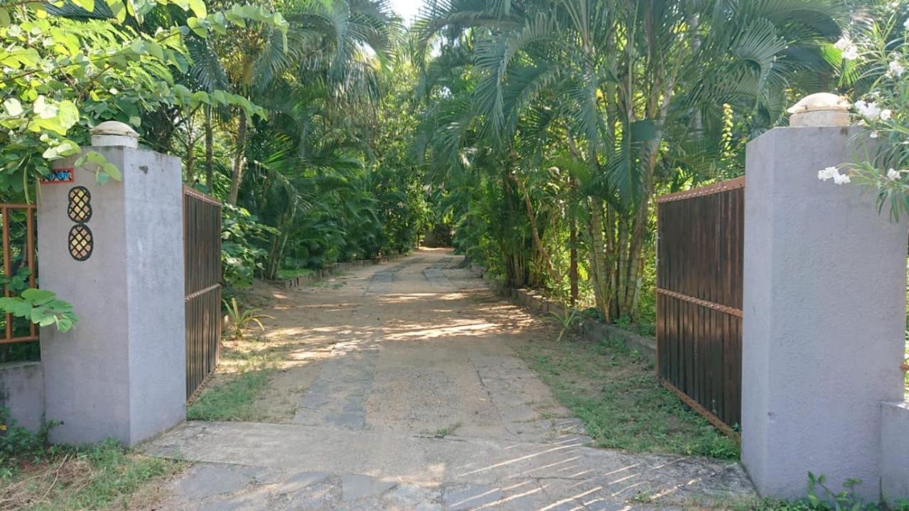 Leopard City Hostel Yala Tissamaharama Exterior photo